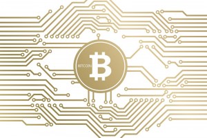 TheMerkle_Bitcoin Network