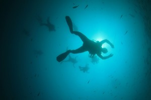 TheMerkle_Scuba Diving