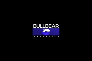 bullbear analytics
