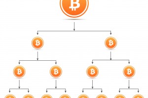 TheMerkle_Bitcoin Services