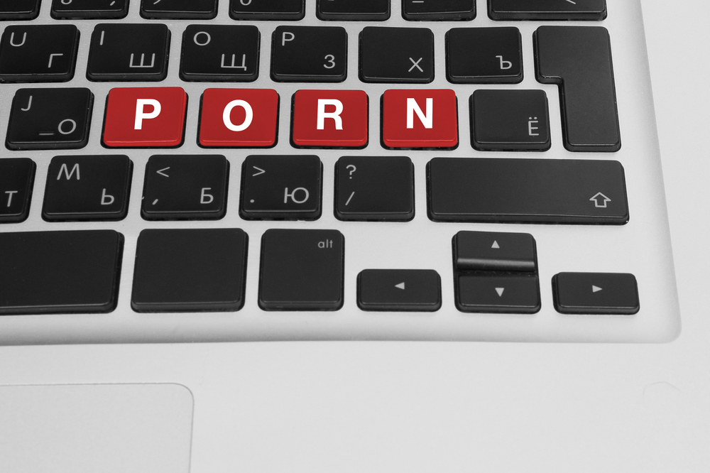 1000px x 666px - 800,000 Accounts From Porn Website Brazzer Exposed Â» The Merkle News