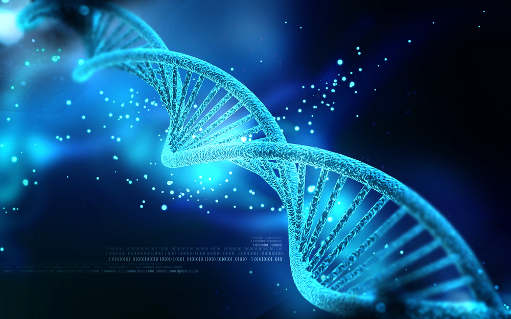 TheMerkle DNA Data Storage