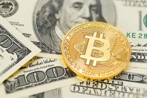 TheMerkle Bitcoin Price Bitcoin Cash