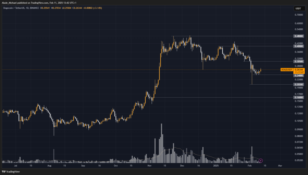 DOGE Price Chart