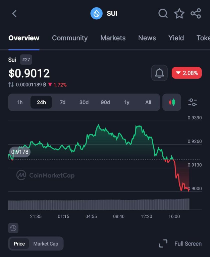 Integer Overflow Bug Exposes DeFi Weaknesses, Aftermath Finance Exploit Drains $1.1M On Sui