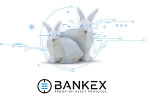 bankex rabbits themerkle