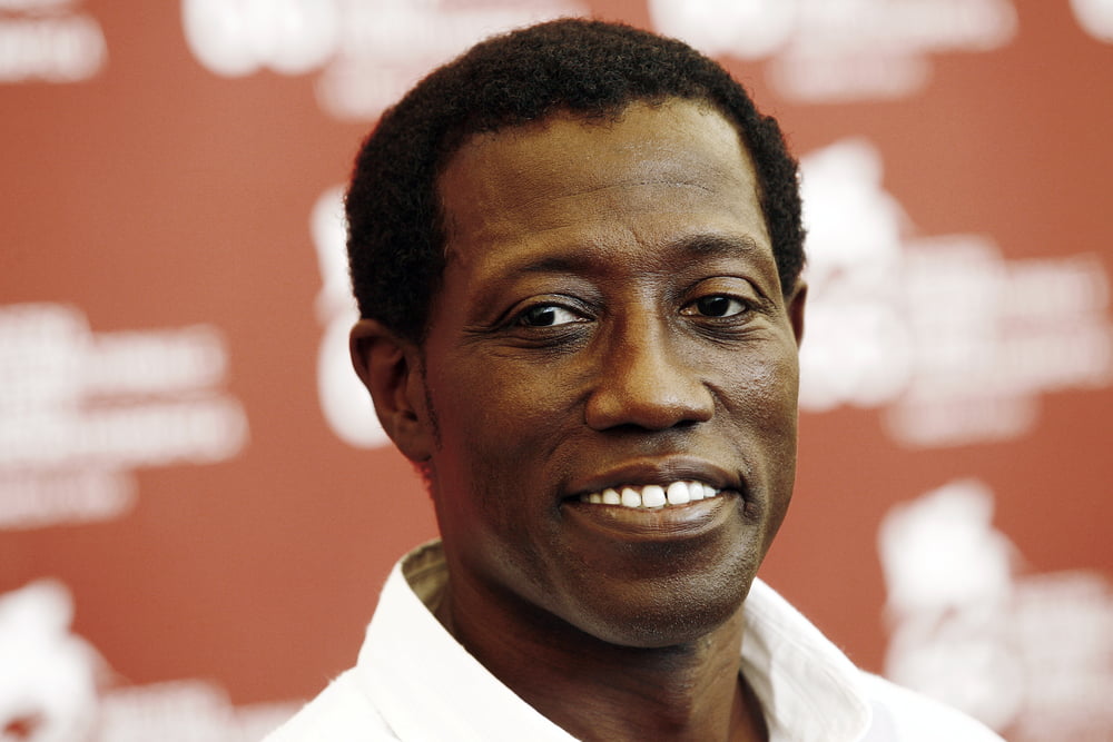 TheMerkle Wesley Snipes Cryptocurrency