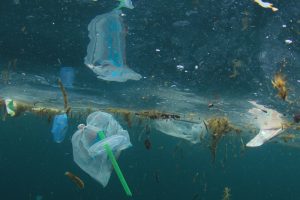TheMerkle Ocean Pollution Seabin