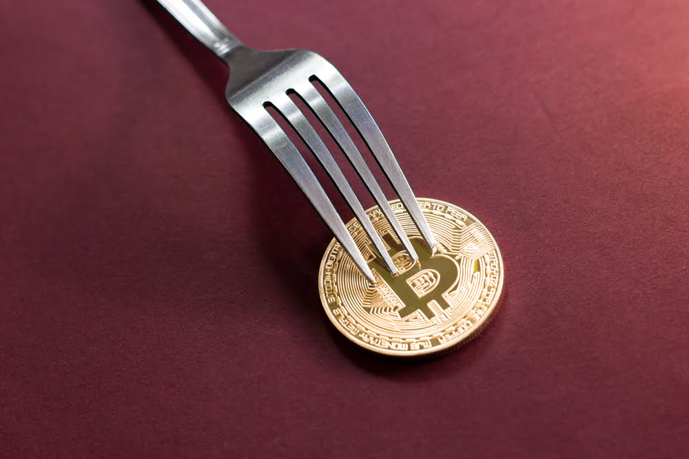 TheMerkle Bitcoin Prime Fork