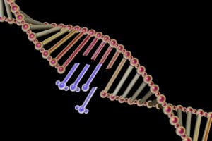 TheMerkle DNA Splicing CRISPR DIY