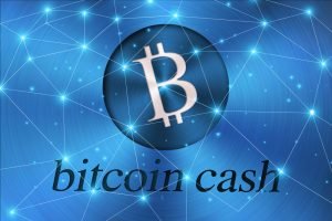 TheMerkle Bitcoin Cash Hard Fork