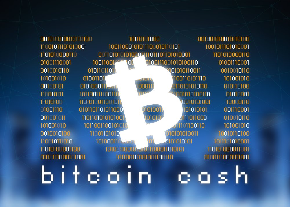 TheMerkle Calvin Ayre Bitcoin Cash 10k