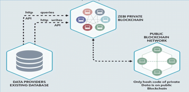 zebi cryptocurrency